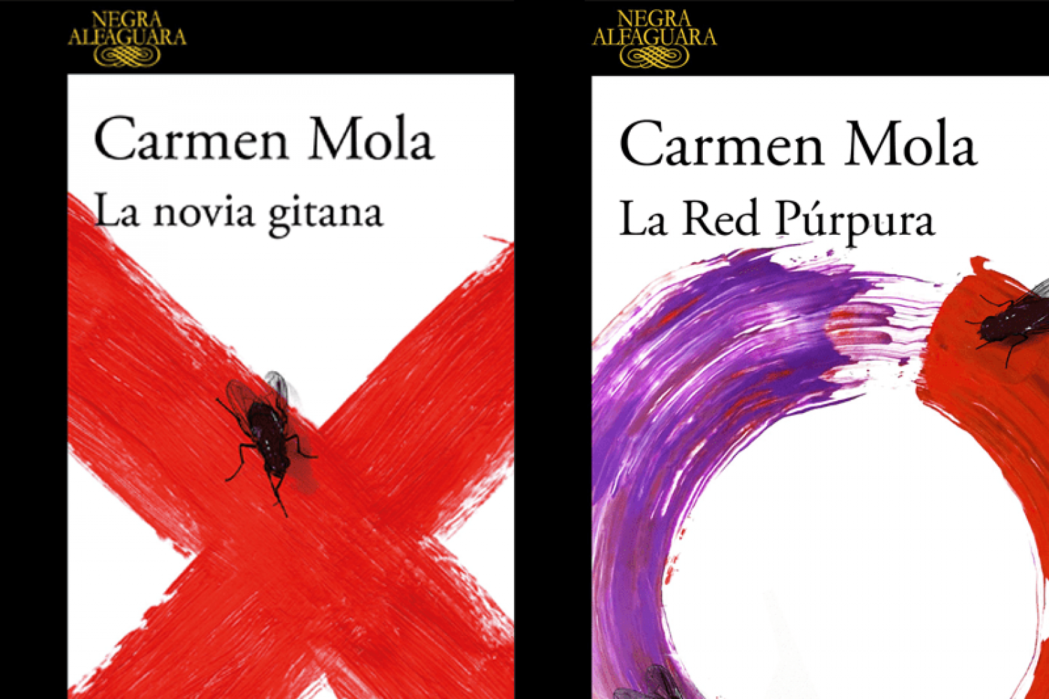 Inspectora Elena Blanco de Carmen Mola