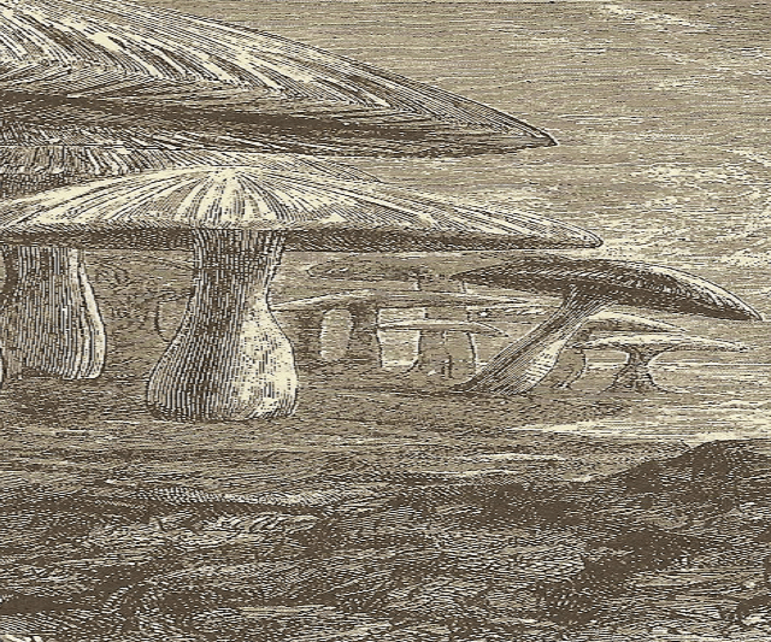 Portada de Viaje al centro de la Tierra