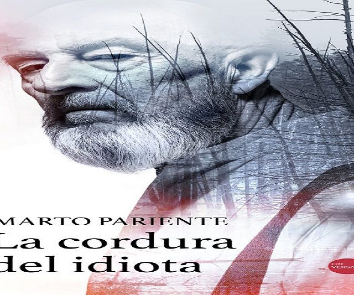 Portada de La cordura del idiota