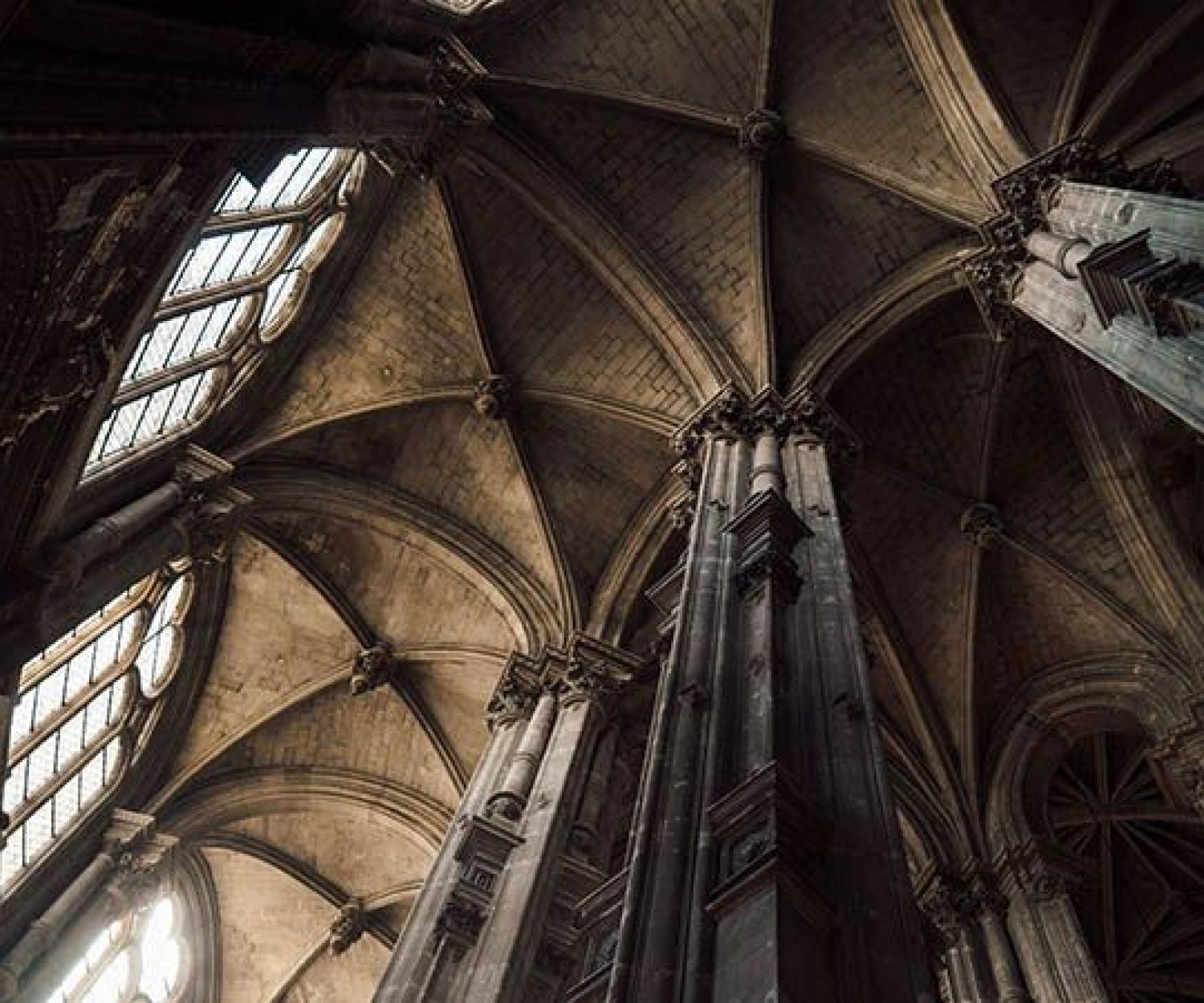 Aras de Venganza de Natalia Gómez Navajas