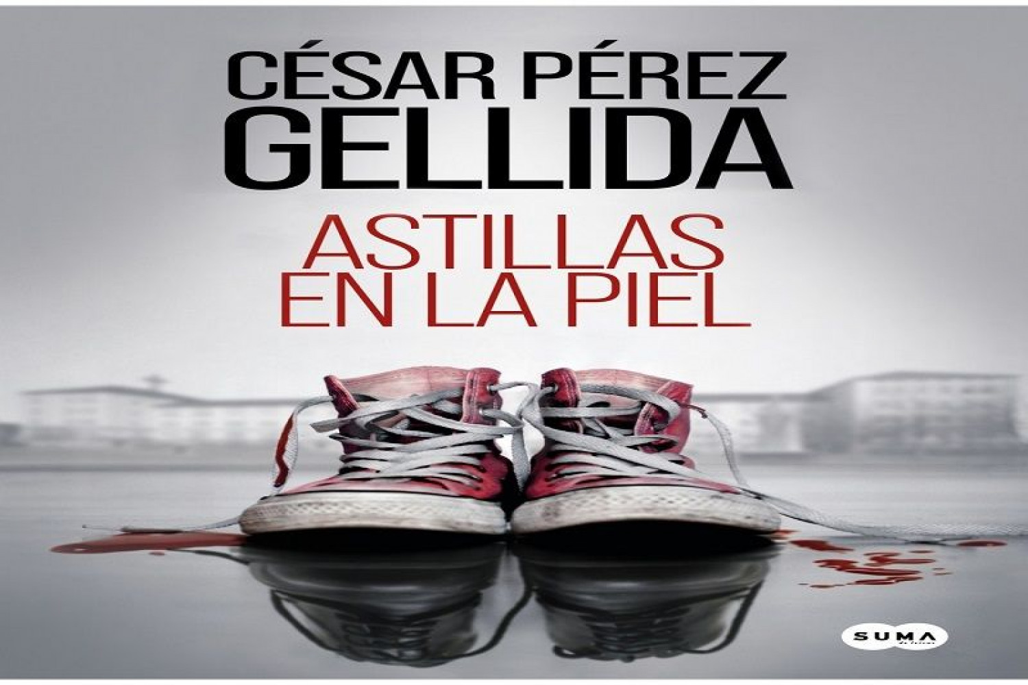 Portada de la novela Astillas en la piel