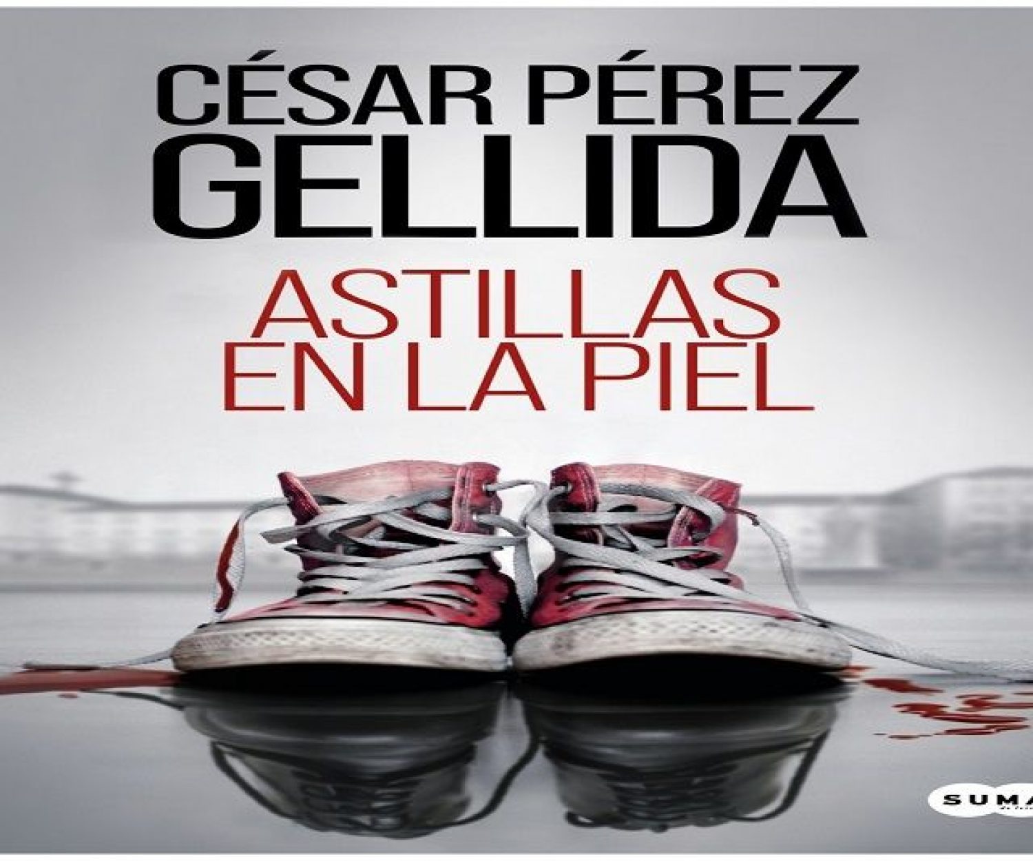 Portada de la novela Astillas en la piel