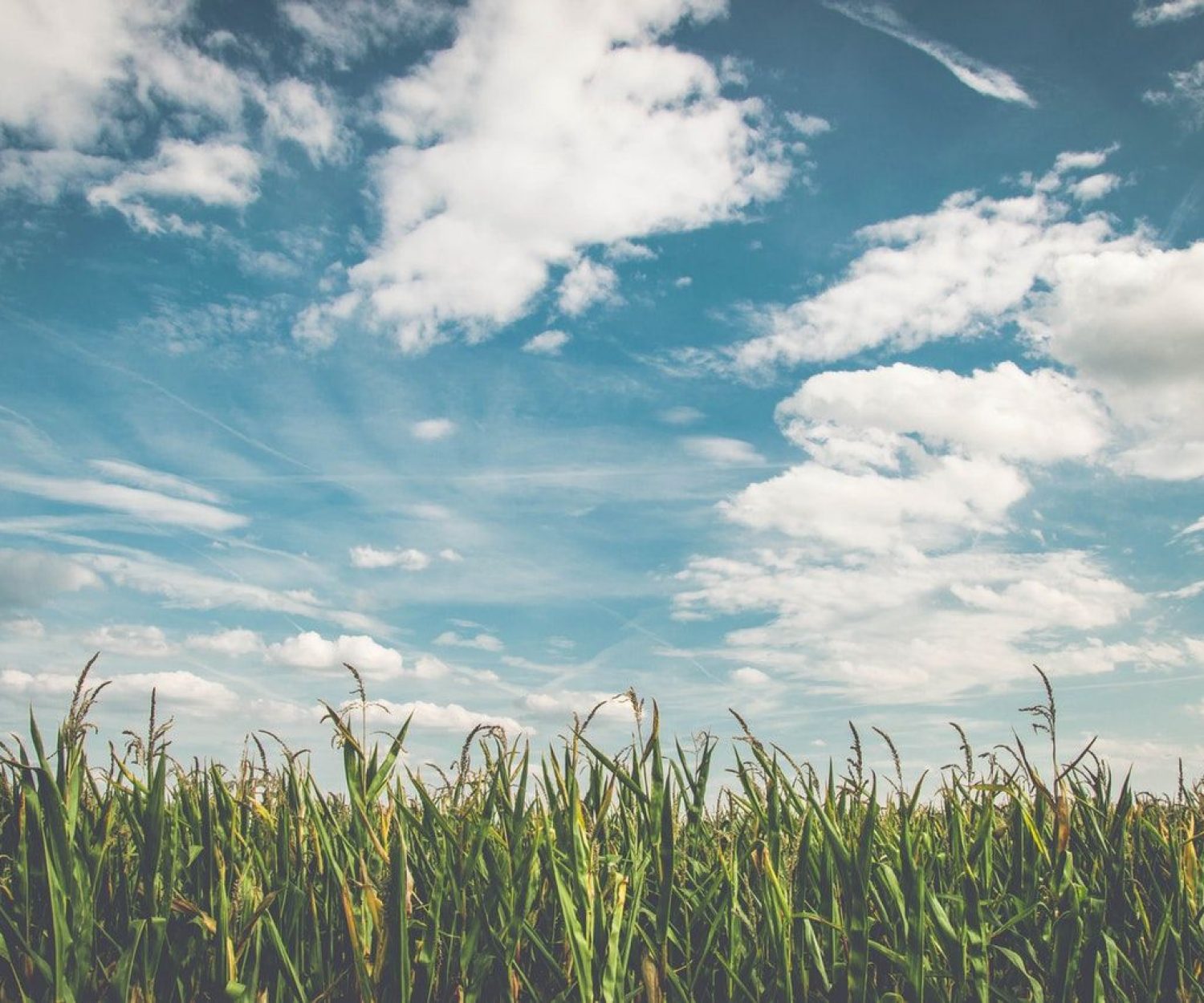 Los asquerosos de Santiago Lorenzo