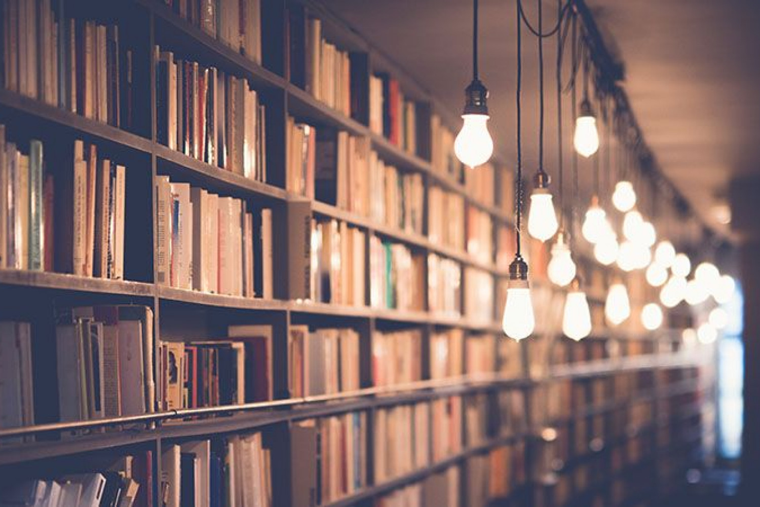 Una novela de éxito