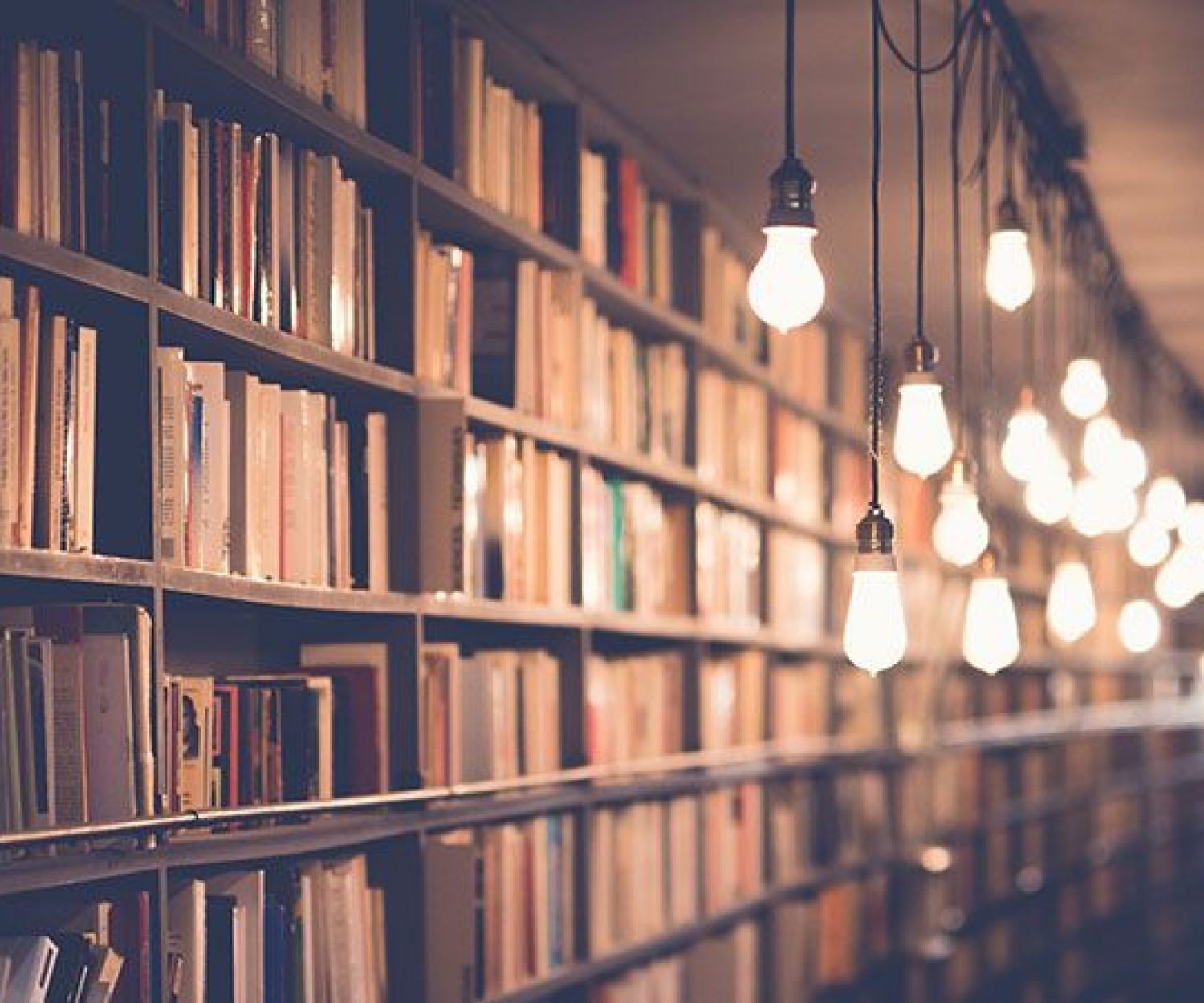 Una novela de éxito