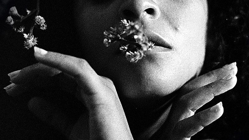 Reseña de Tiempo de silencio El Quinto Libro