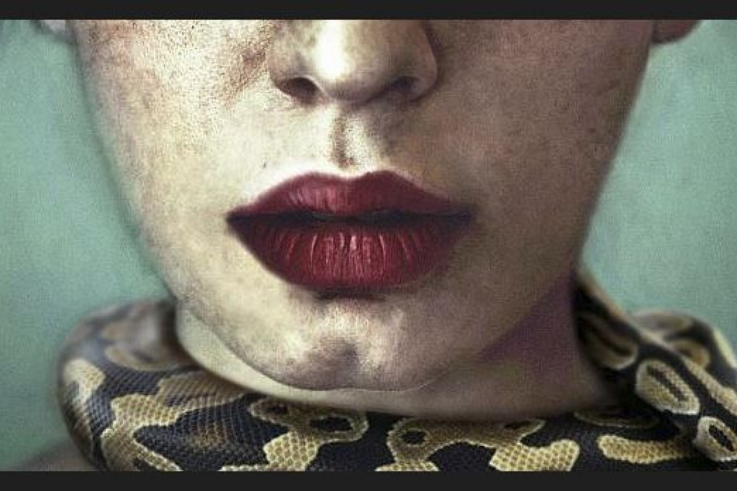 Donde haya tinieblas