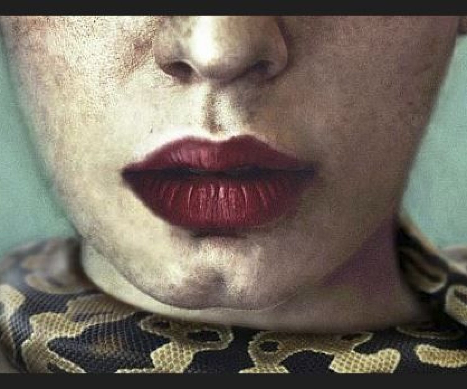 Donde haya tinieblas