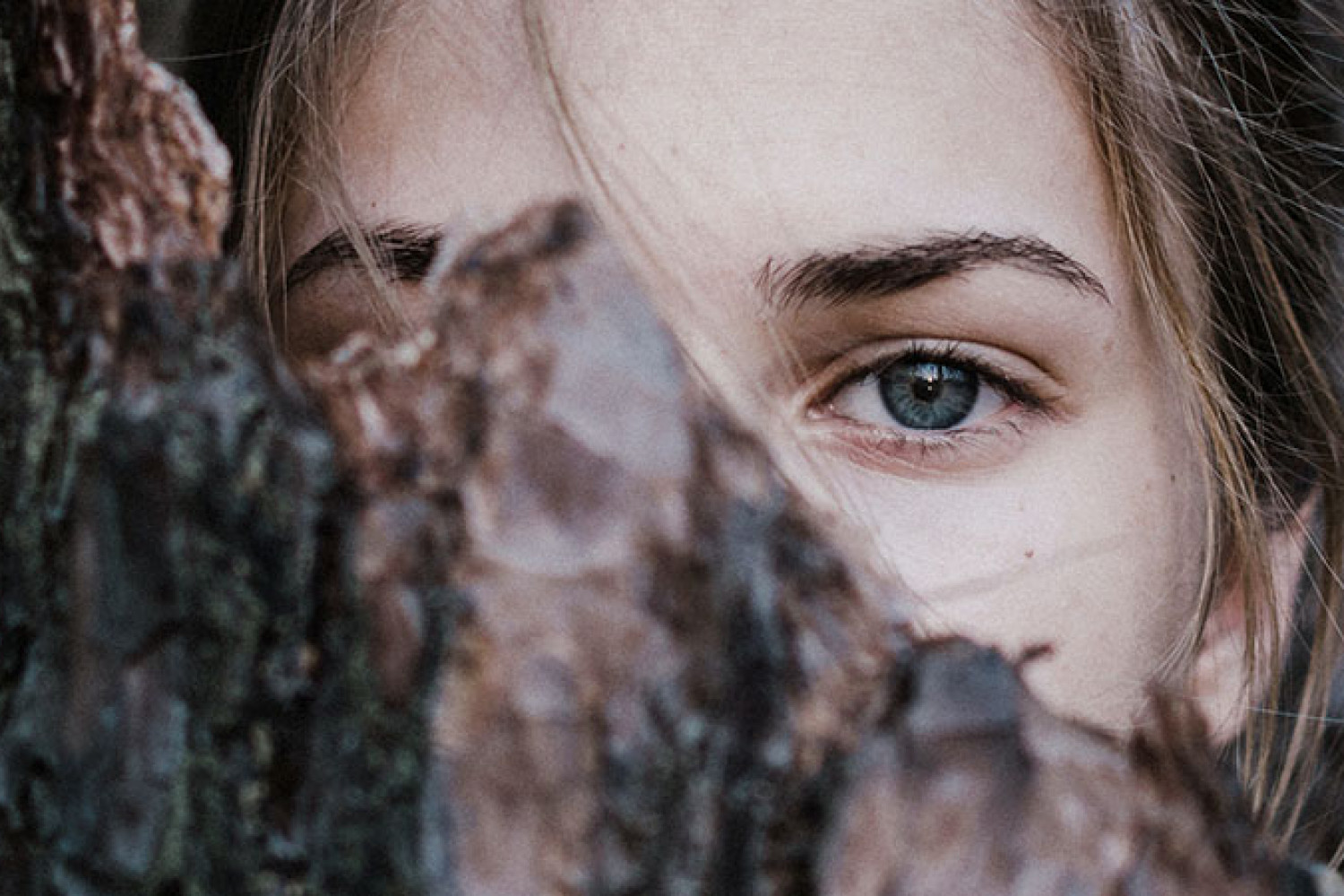 Novela la mujer de verde