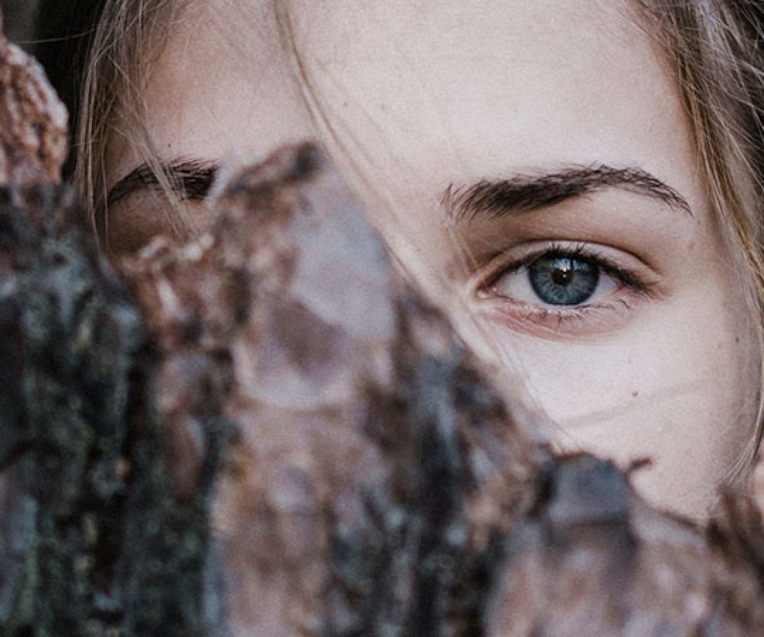 Novela la mujer de verde