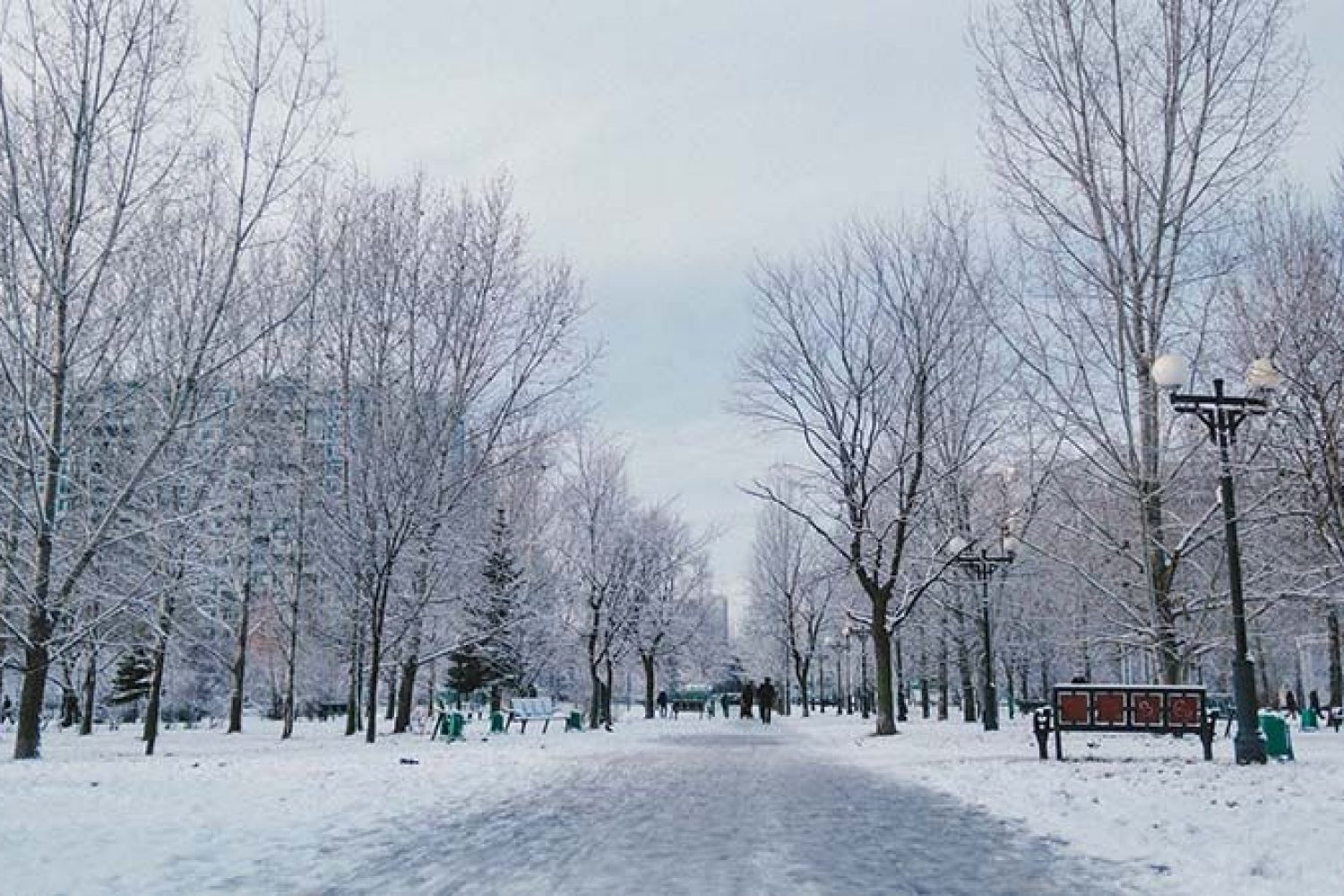 La señora Potter no es exactamente Santa Claus