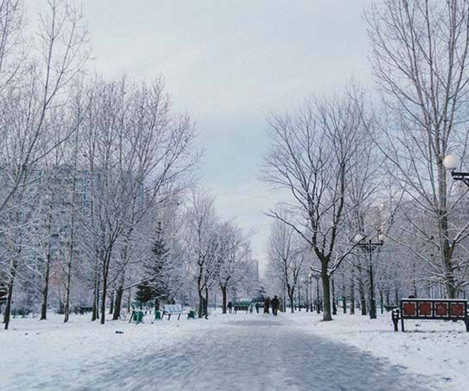 La señora Potter no es exactamente Santa Claus