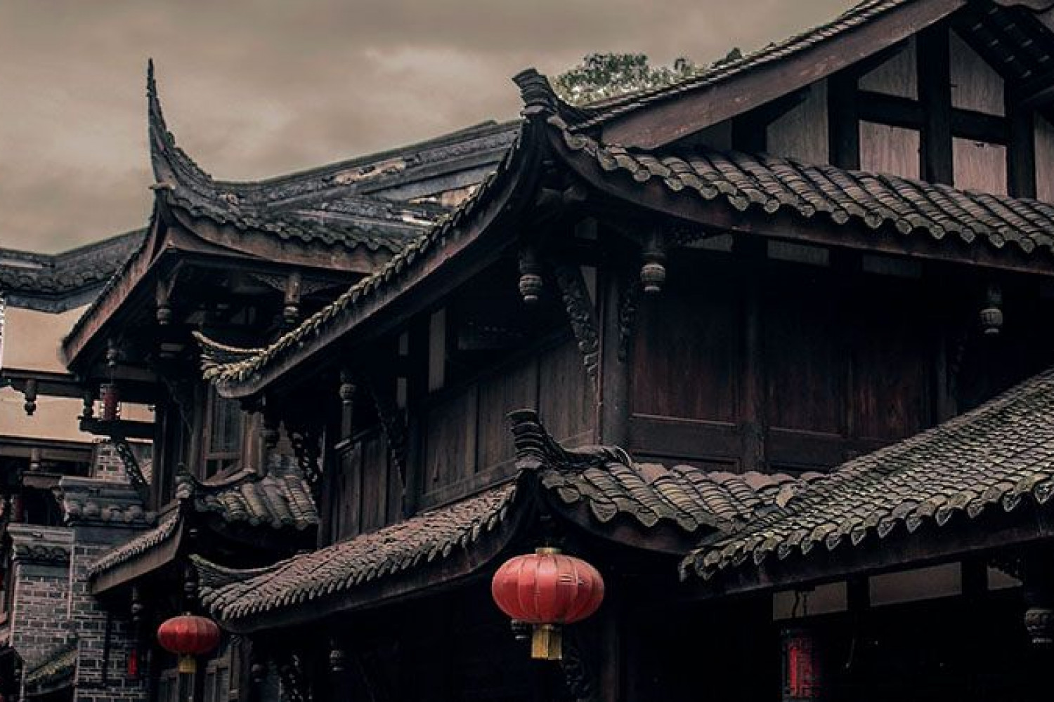 Nueva literatura China