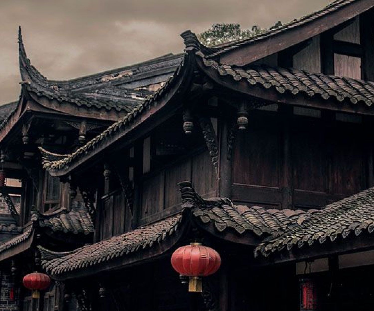 Nueva literatura China