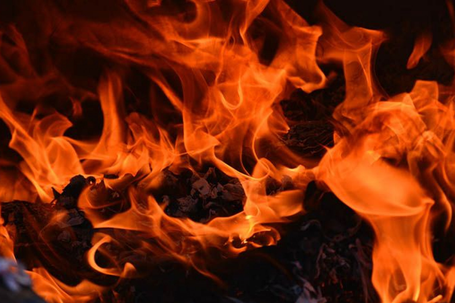 Tierra de furtivos Cartagena Negra