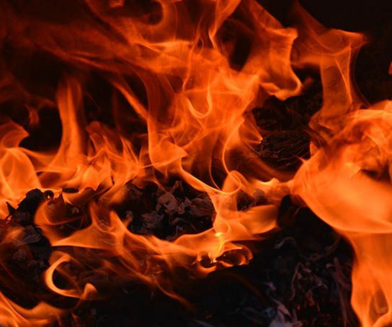 Tierra de furtivos Cartagena Negra