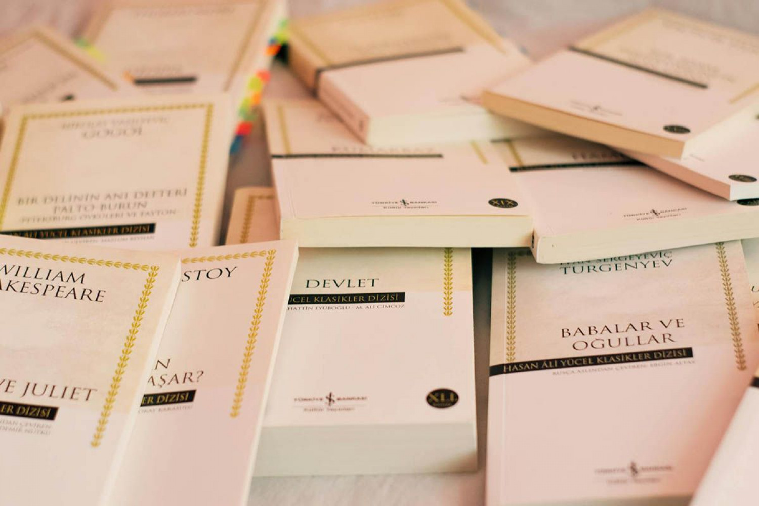 Servicios de traducción literaria