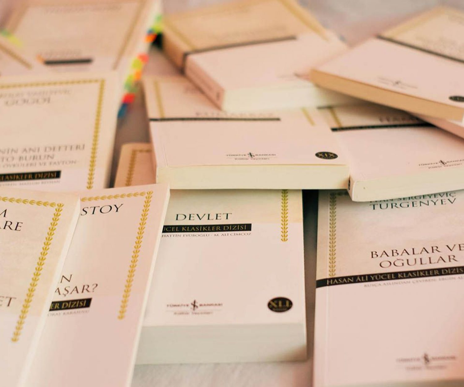 Servicios de traducción literaria