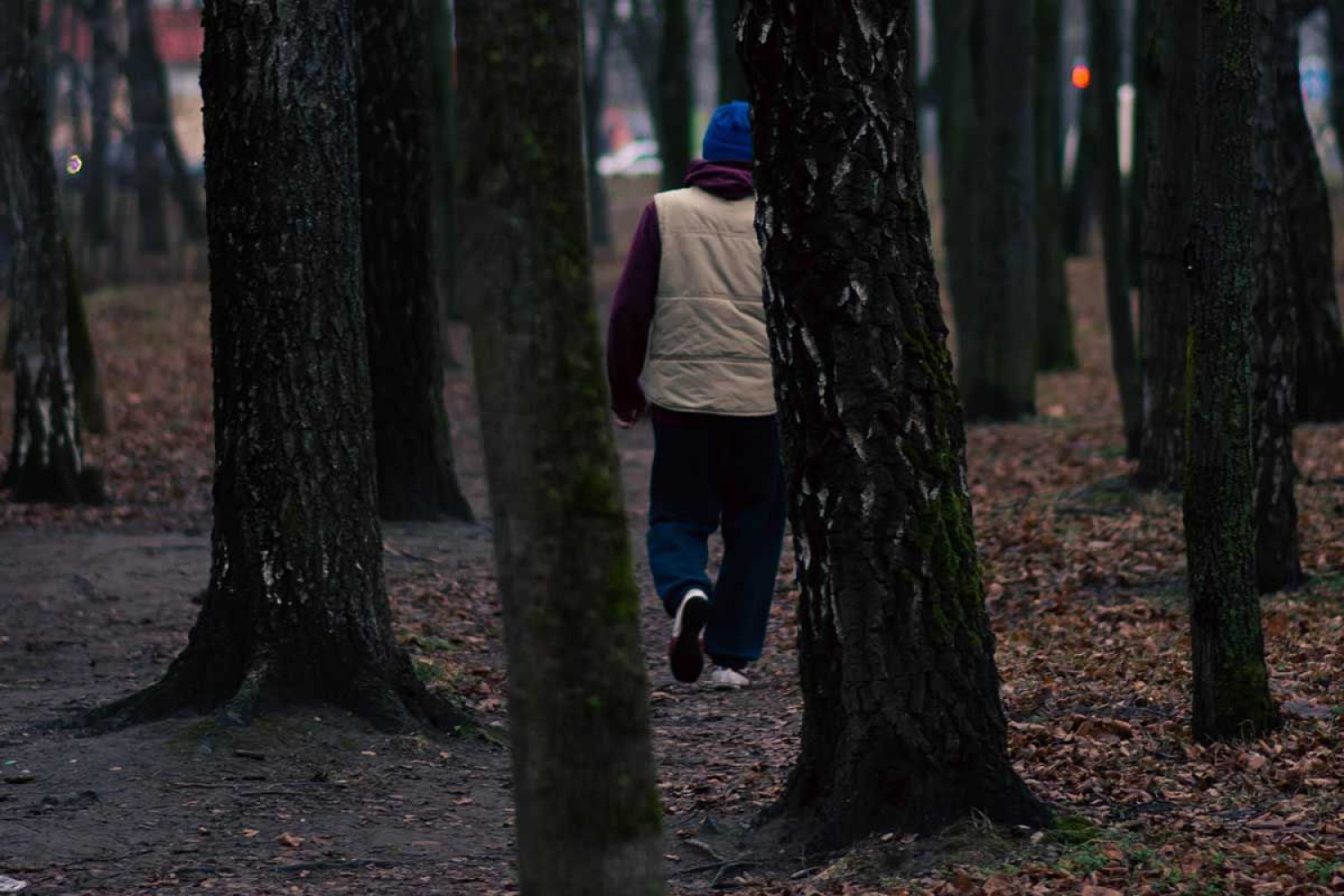 Los mitos de la inmigración de Hein de Haas