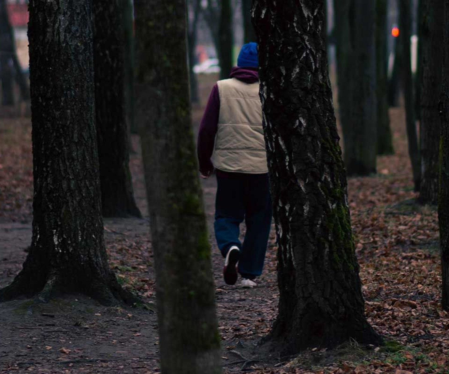 Los mitos de la inmigración de Hein de Haas