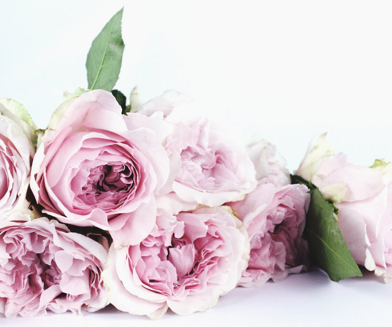 Con cualquier otro nombre Jodi Picoult