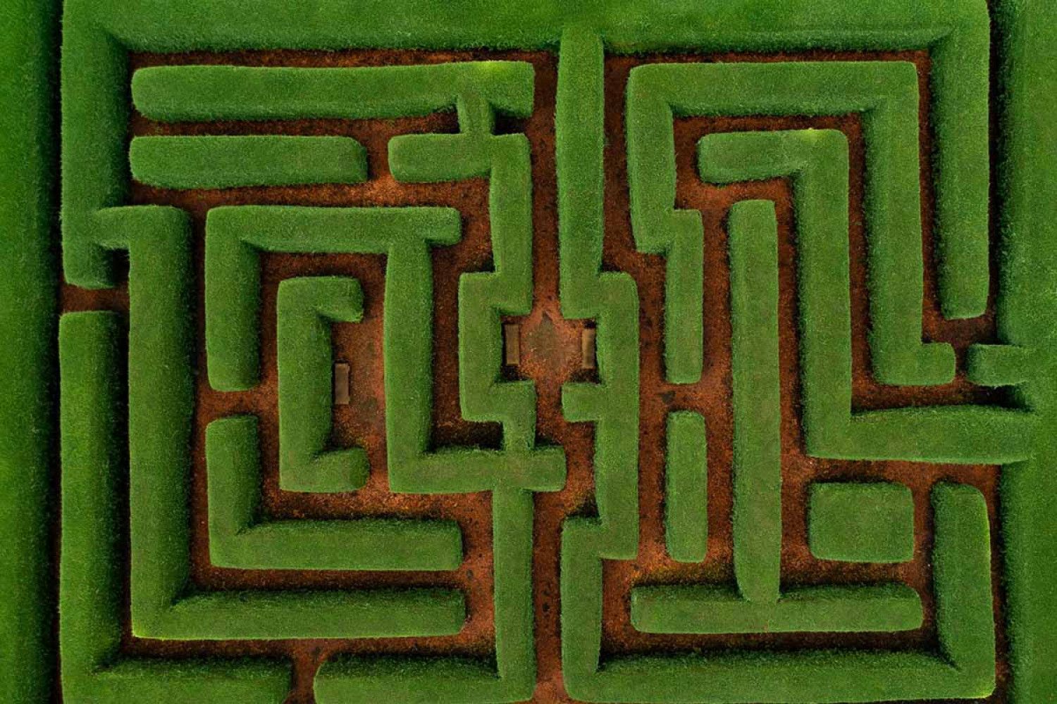 El jardín de los senderos que se bifurcan