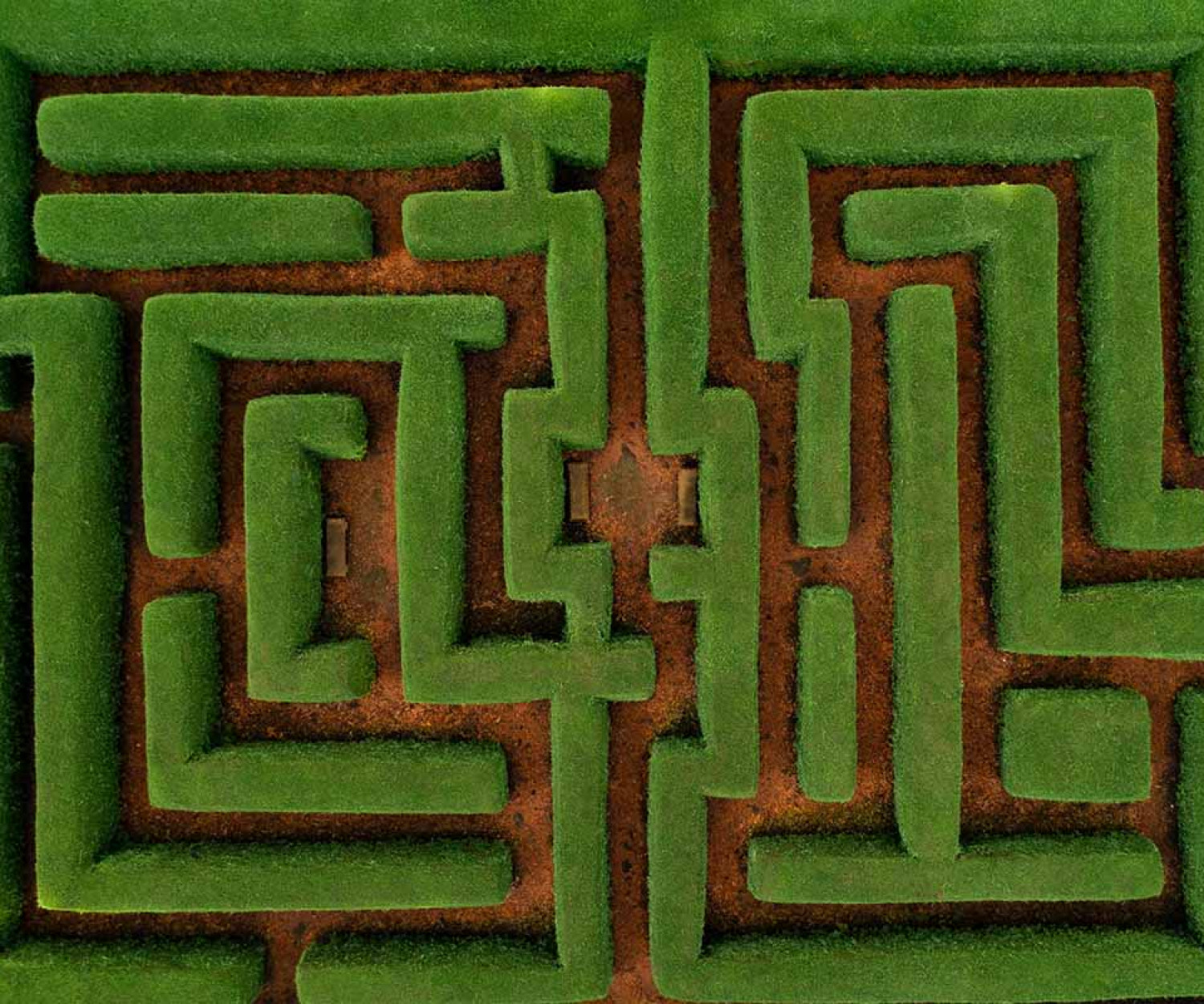 El jardín de los senderos que se bifurcan