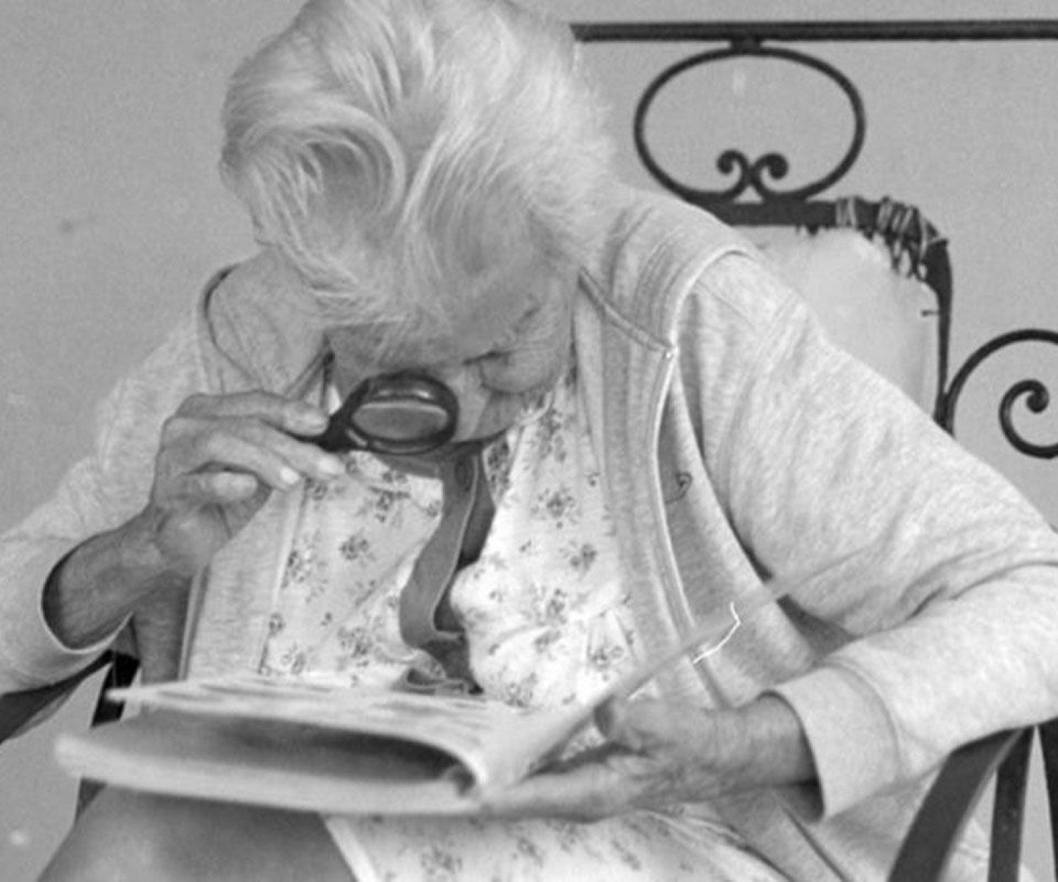 Las gratitudes de Delphine de Vigan