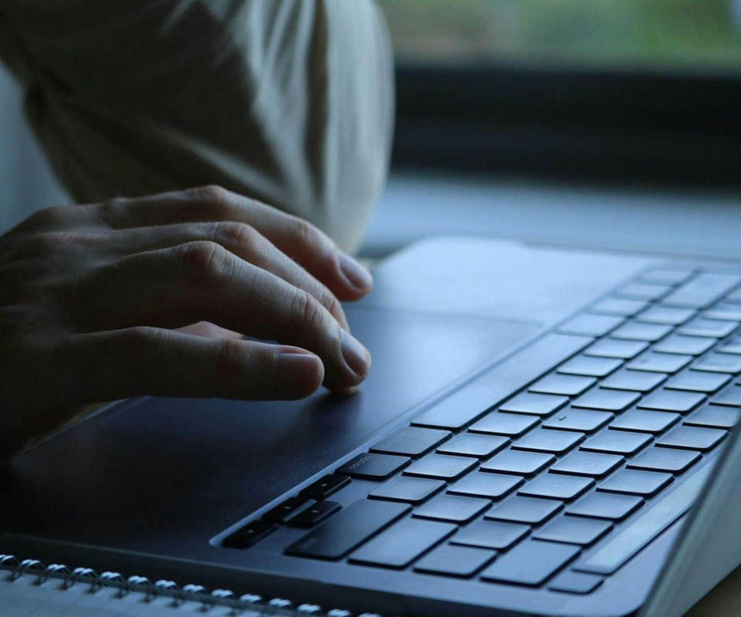 contenido de calidad