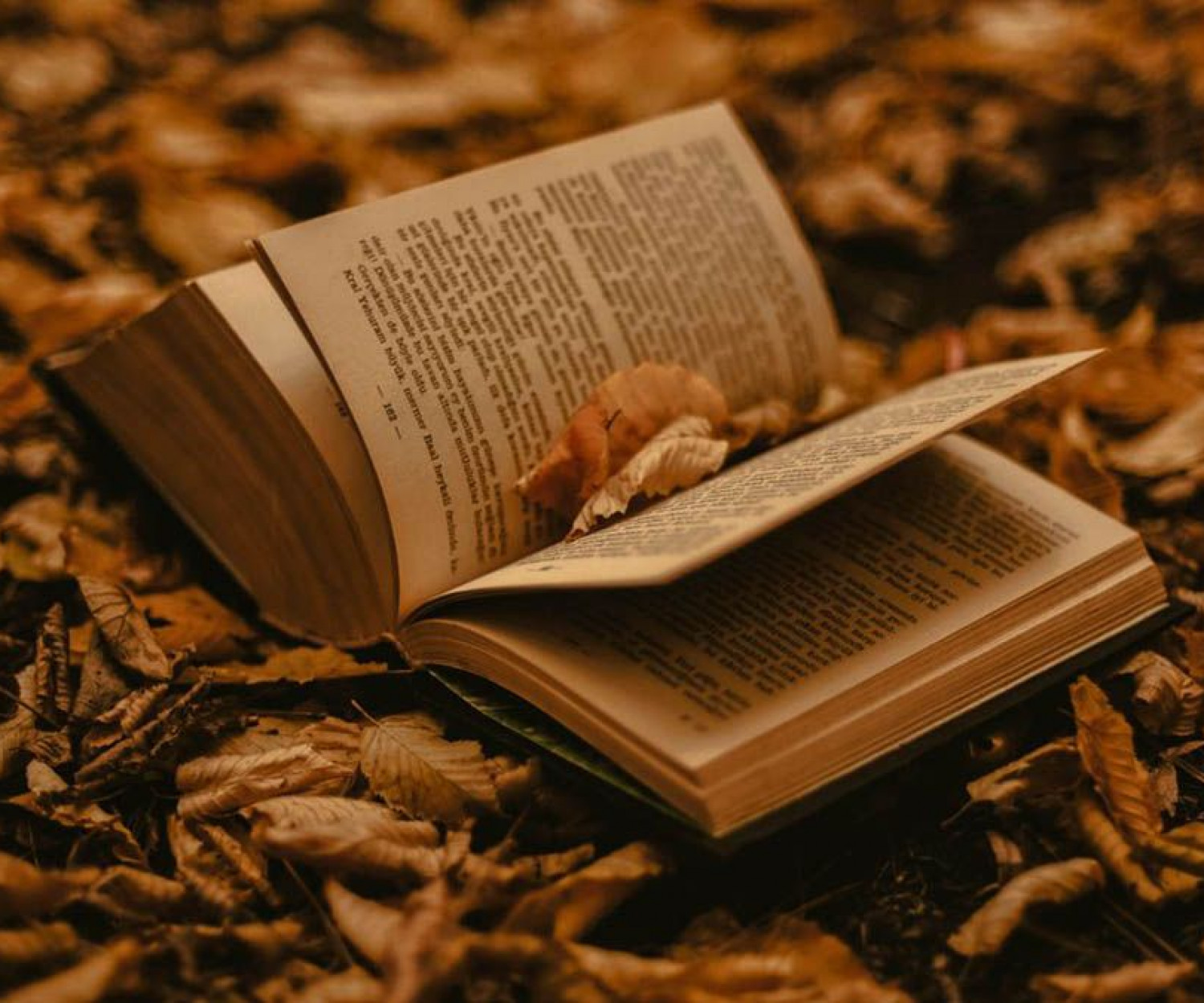 librerías de segunda mano